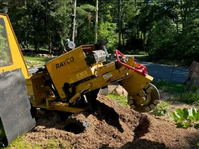 Stump Grinding