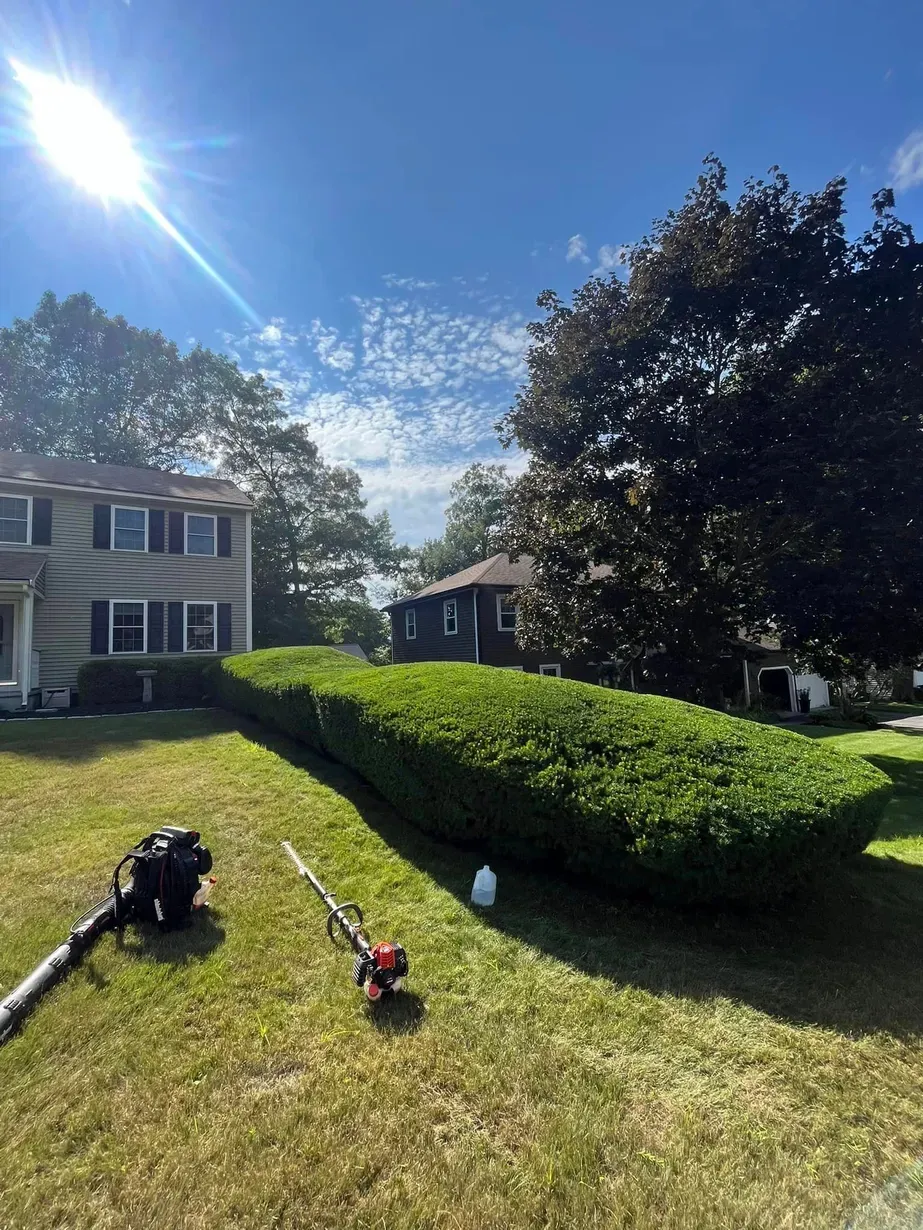 work photo from bentleysgreenscapes.com
