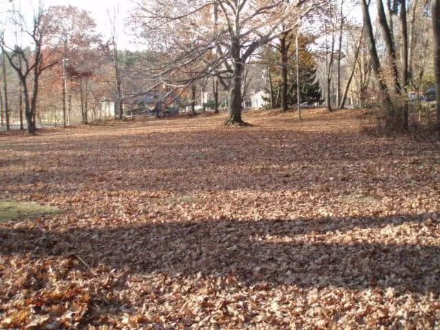work photo from randalllandscaping.com