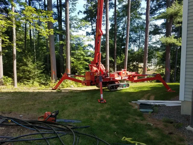 Tree Services
