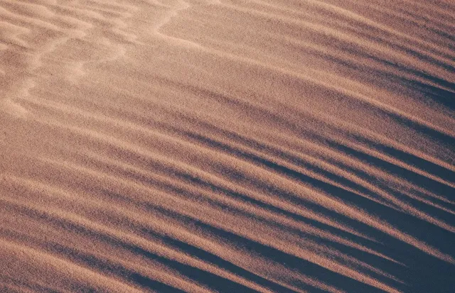Sand dunes with long, curved shadows cast by sunlight. Brown and tan.