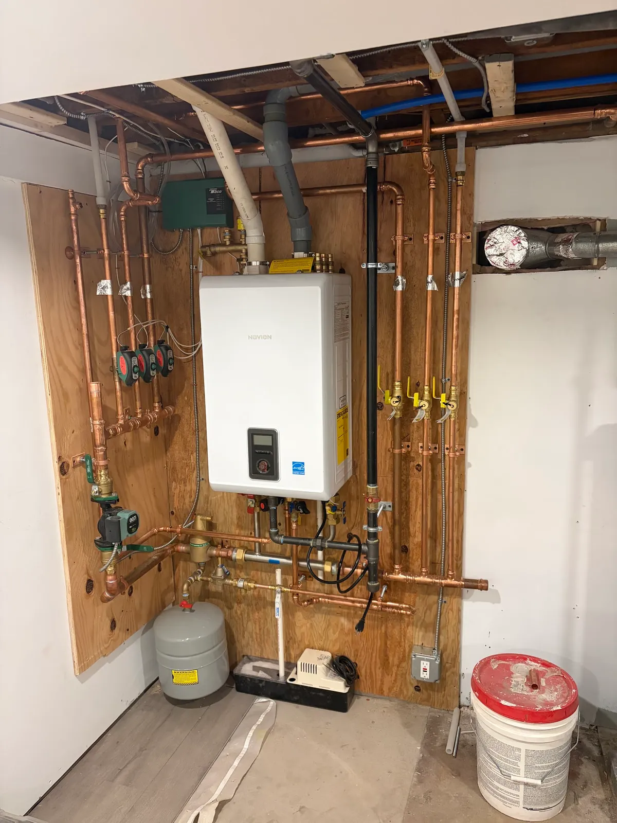 Curtis Capra Electrician
