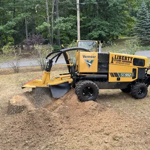 work photo from libertystumpgrinding.com