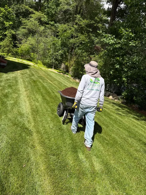 Vasquez Landscaping work photo