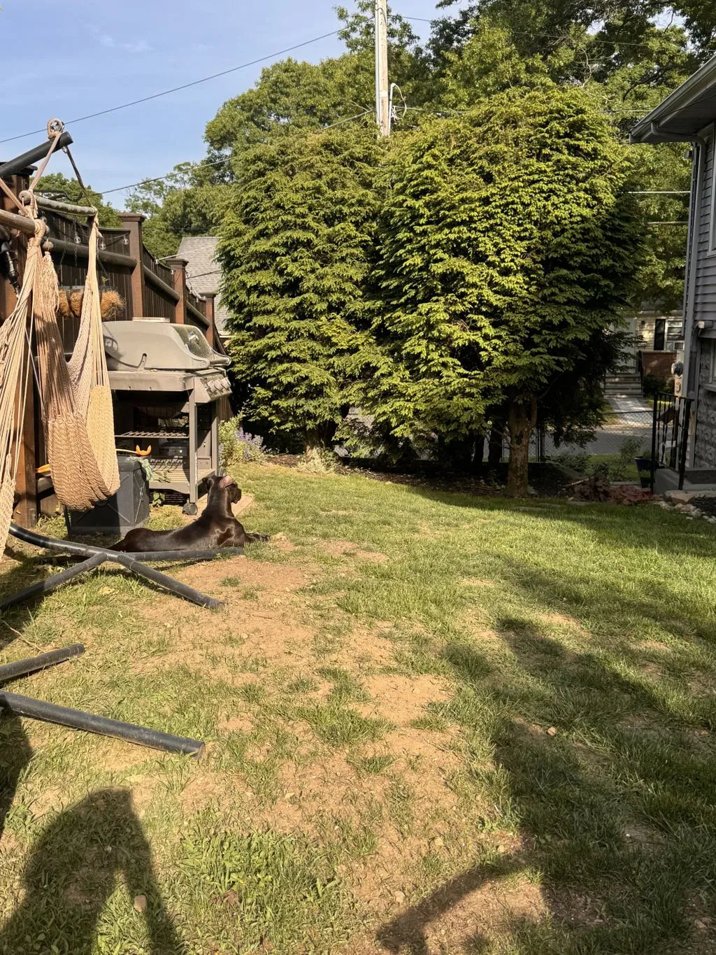 Adam's Complete Landscaping researched project photo