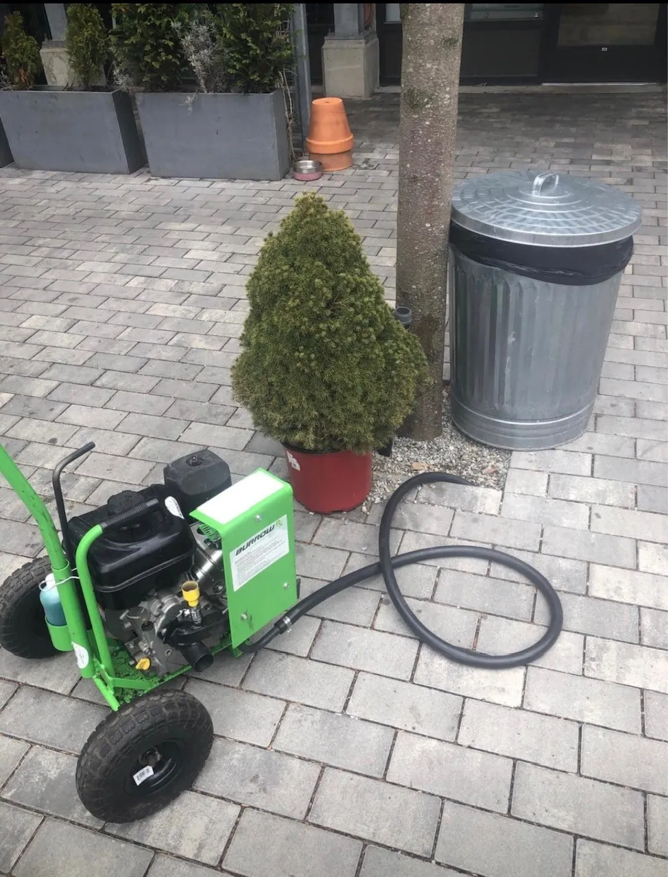 Yankee Pest Control