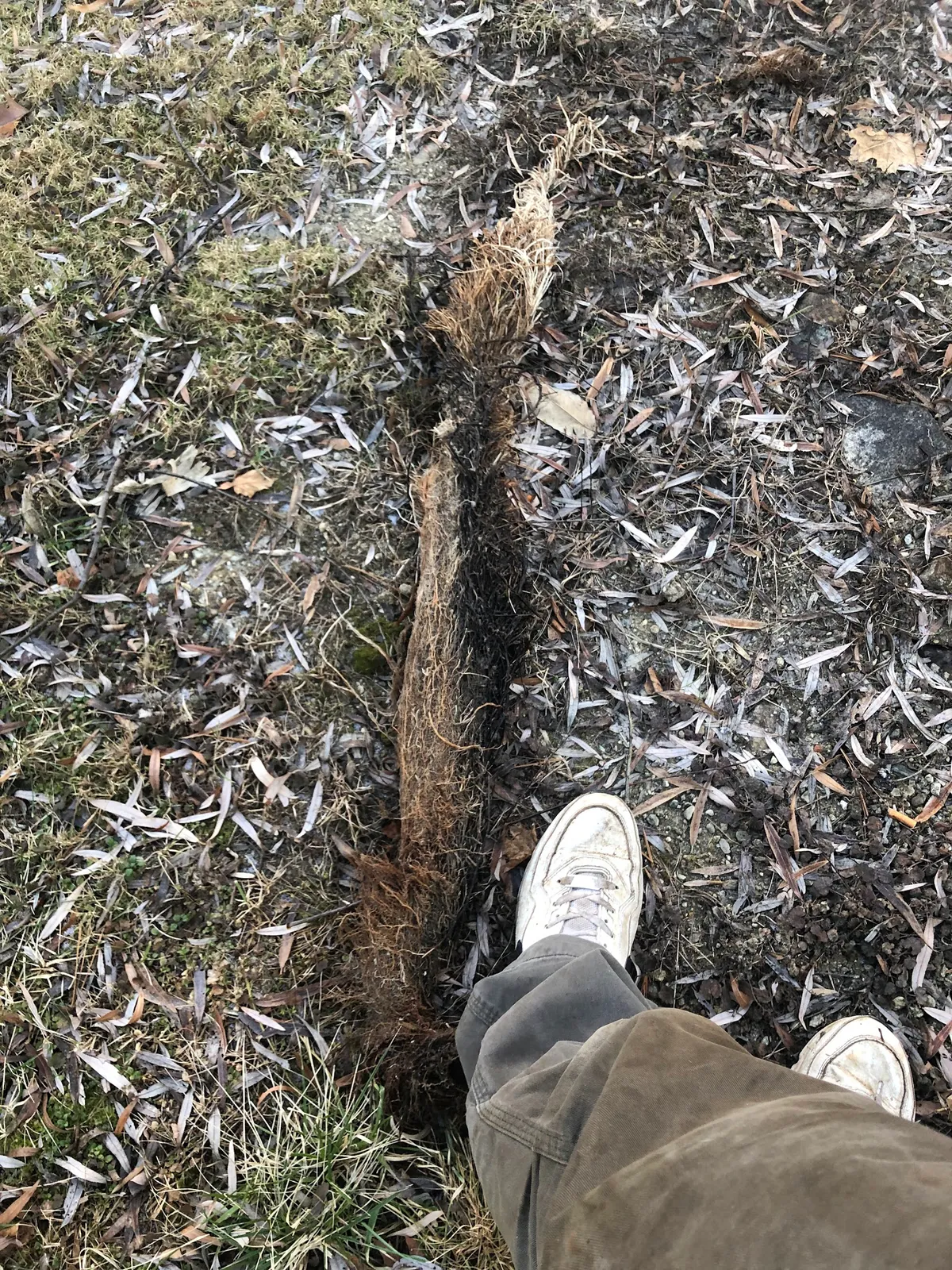 Jeff's Drains