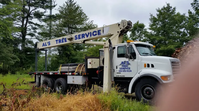 Al's Tree Services work photo
