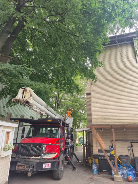 Branch Manager Tree Service