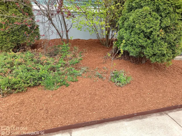 Florus Services Company work photo