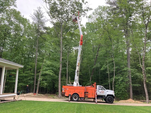 Pork Chop Tree Co, LLC work photo