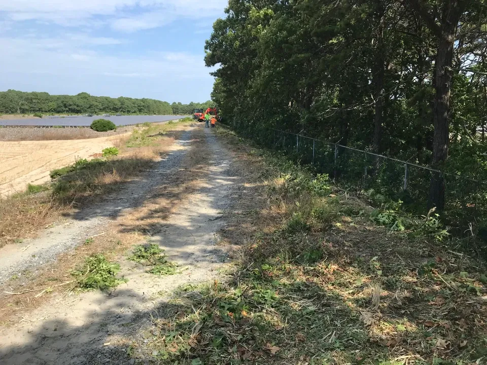 Clearing Driving Trail
