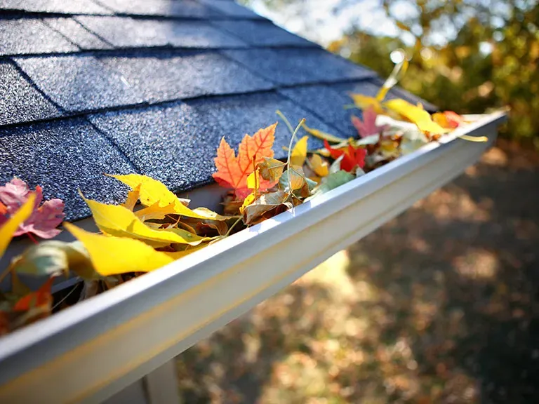 Gutter Cleaning and Power Washing Worcester MA