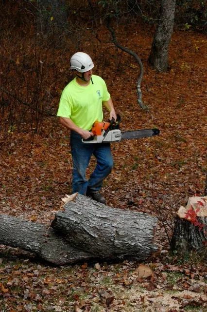 A man wearing a white helmet and a neon yellow shirt cutting a fallen tree trunk with a chainsaw in a forest
