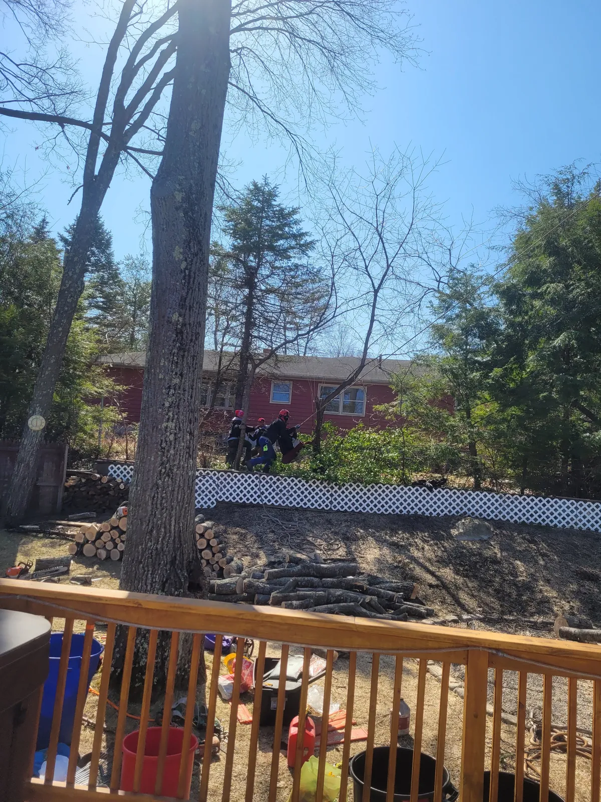 work photo from Google listing
