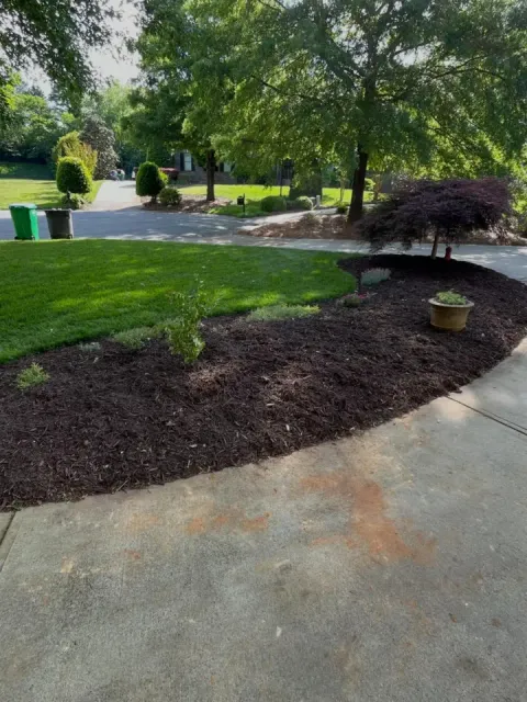 Trustindex feed image, shared by mbggrasshoppers on Instagram on May 14, 2026.