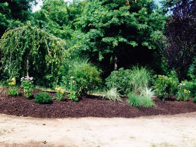 work photo from aikenlandscaping.com