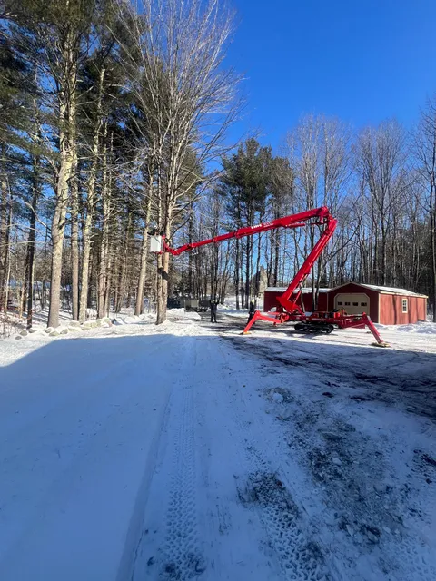 Veteran Tree Care LLC work photo