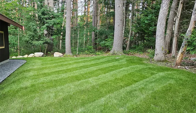 MLP McKinley Landscape & Property work photo