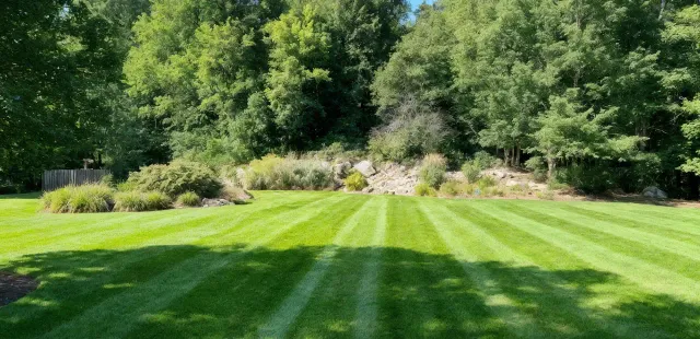 striped grass lawn cut by professional MA landscaper - slide 3
