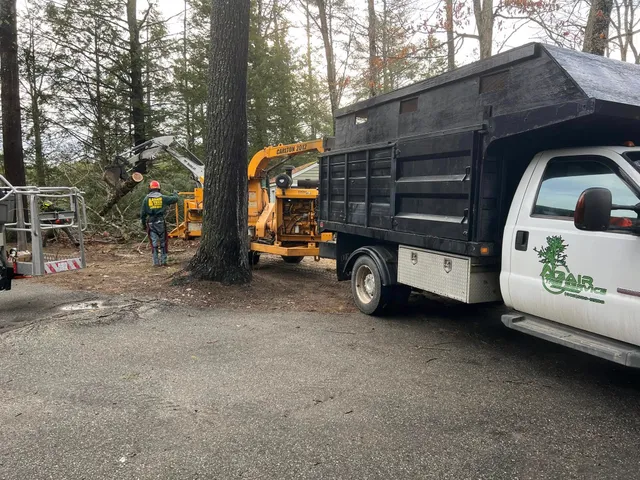 Abair Tree Service work photo