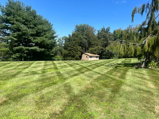 FPO Landscaping LLC work photo