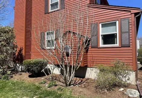 Exterior Painting