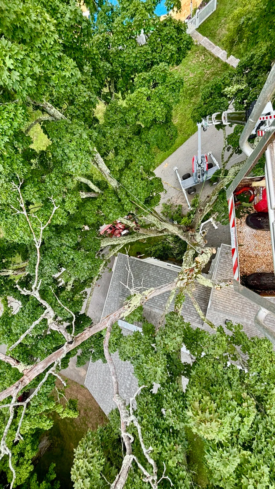 new england tree service aerial lift