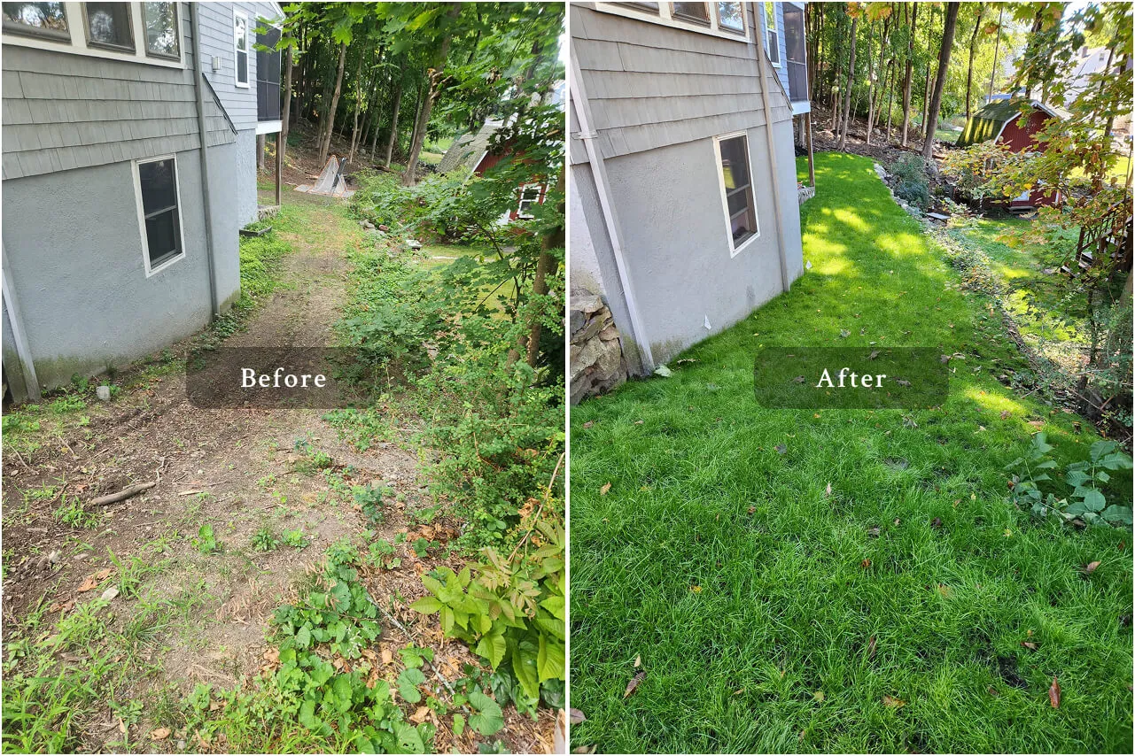 appleton st Landscaping