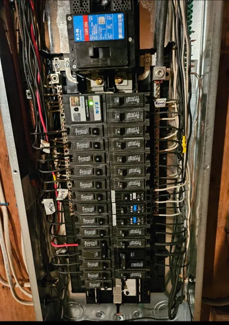 1000020002.jpg