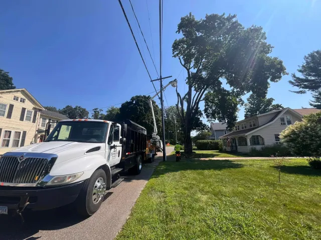 A utility worker in a safety vest is working on a utility pole with a bucket truck on a residential street on a sunny day, with houses, trees, and clear blue sky in the background.