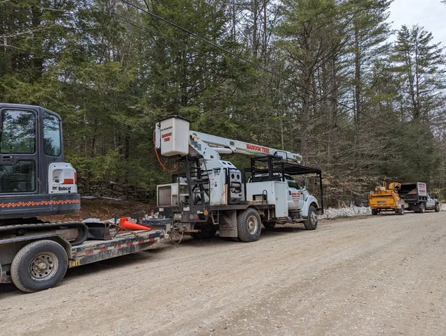 Magoon Tree Service work photo