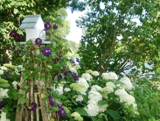 work photo from holmesfinegardens.com
