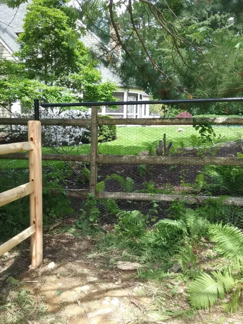 Wood Fence