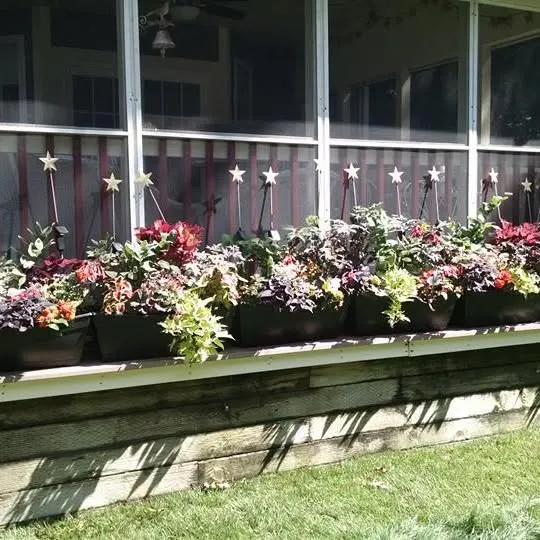 Morning Glory Gardeners researched project photo