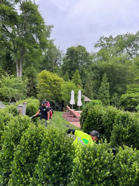 Garden scene with firefighters in high-visibility gear among hedges and patio umbrellas