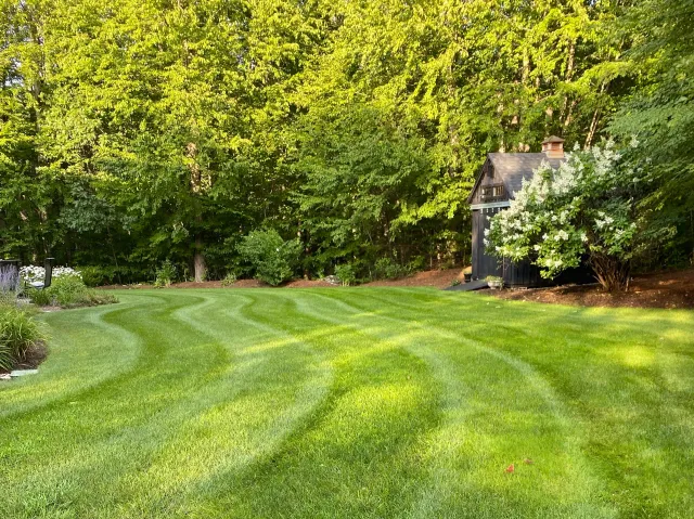 Purnell Brothers Landscaping LLC researched project photo