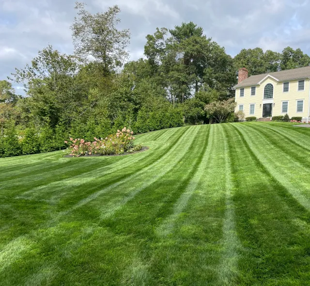 Rapoza's Landscaping LLC work photo