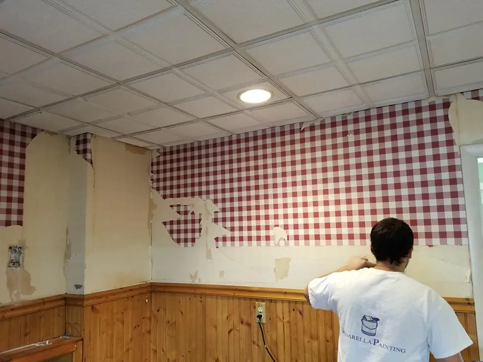 Singarella Painting