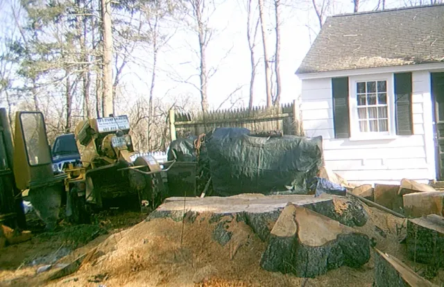 Ed's Stump Grinding researched project photo