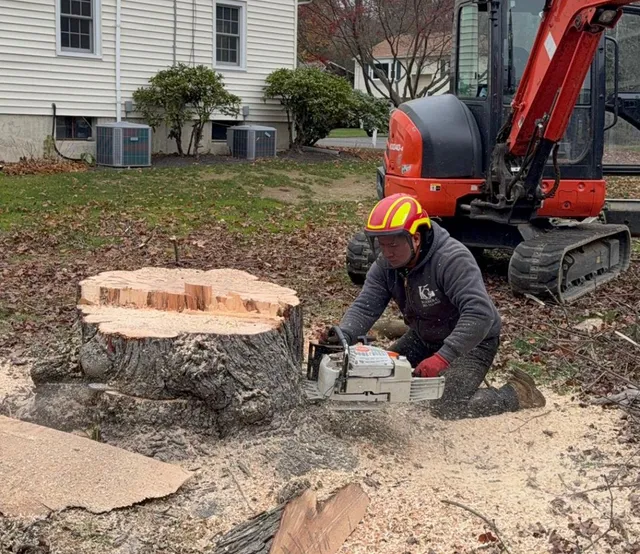Kleber C Tree Service & Excavation work photo