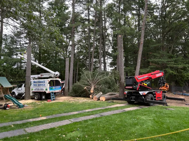 Southwick Tree Service work photo