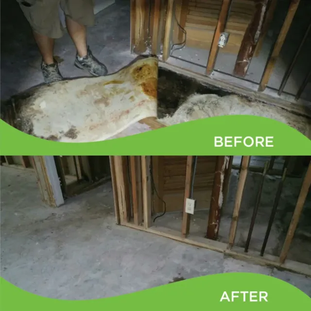 Green Home Solutions work photo