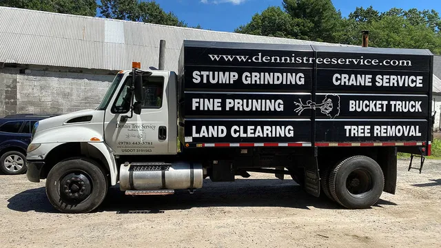 Dennis Tree Service work photo