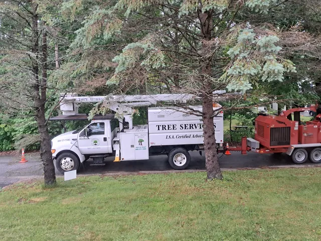 Blackstone Tree Services work photo