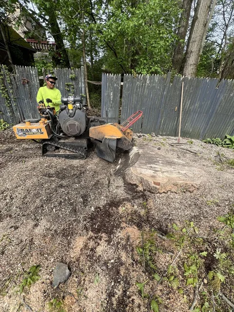 Adam's Complete Landscaping researched project photo