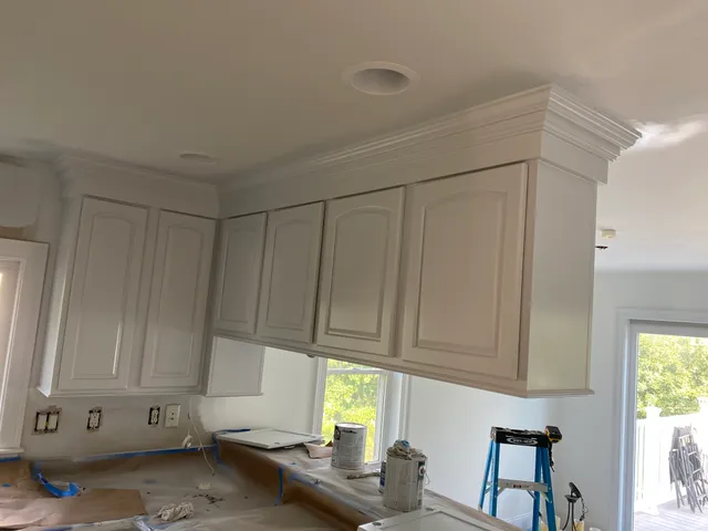Ronnie The Painter work photo