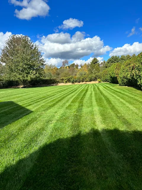 Mama Bear Lawn Care Llc work photo