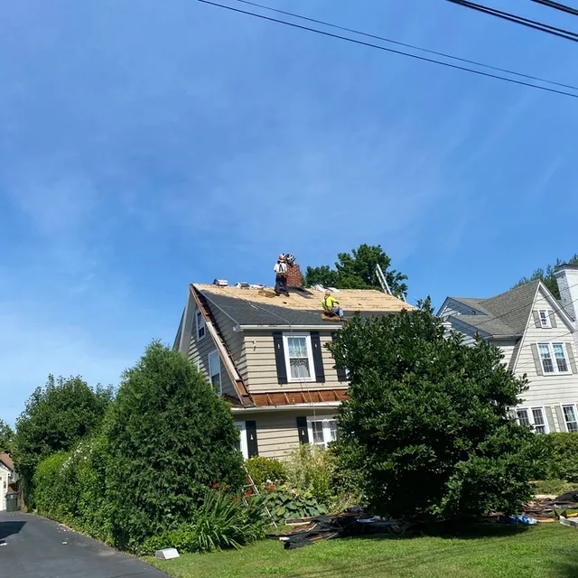 Leo's Roofing & Waterproofing researched project photo