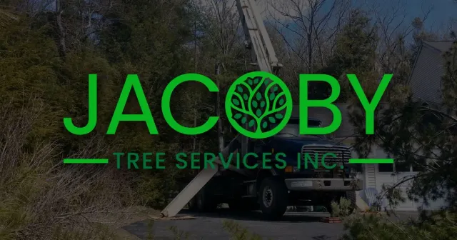 work photo from jacobytree.com